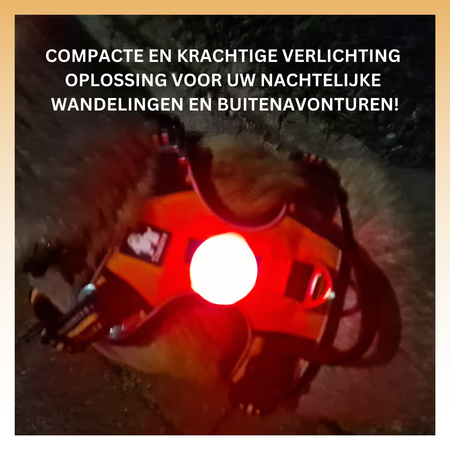 Woef & Woef LED Maatje