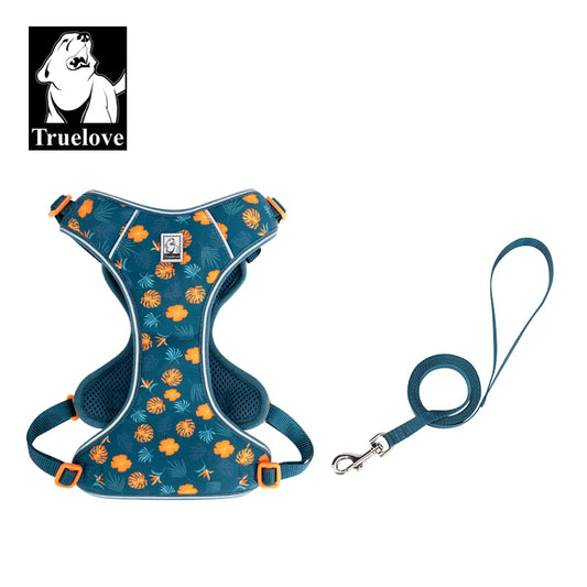 Truelove Harnas & Riem Set