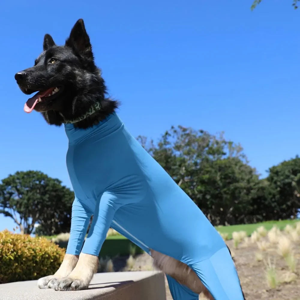 Operatie Onesie Voor Honden