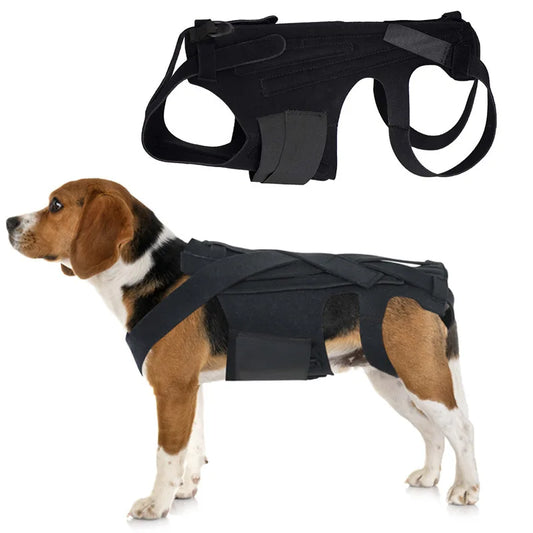 IVDD Hernia Ondersteuningsbrace