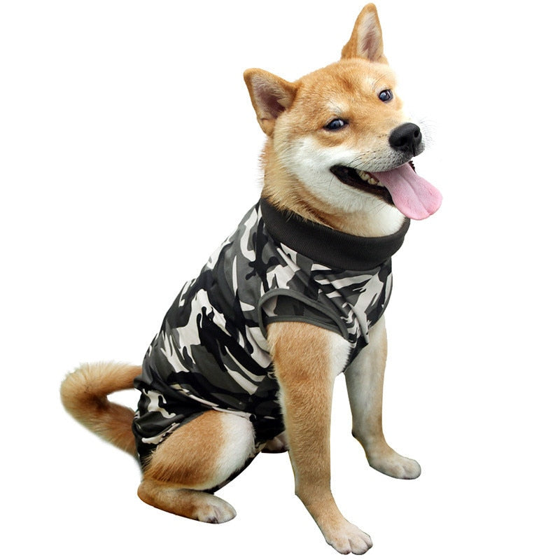 Sterilisatie Romper Voor Honden
