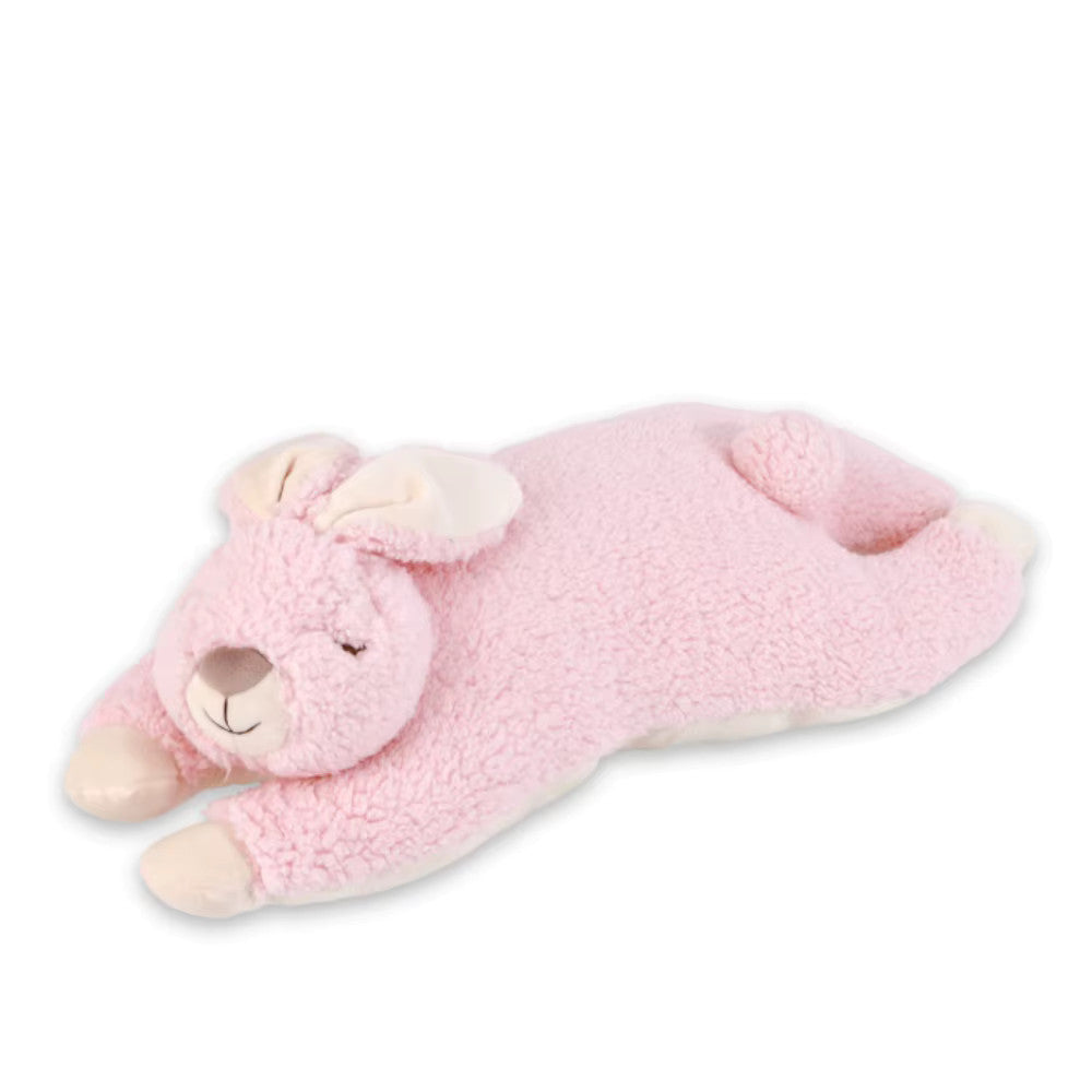 Knuffeldieren met Hartslag - Diversen