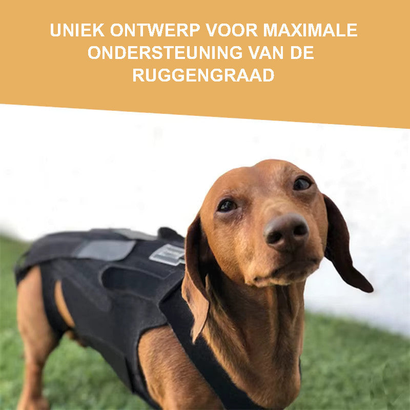 IVDD Hernia Ondersteuningsbrace