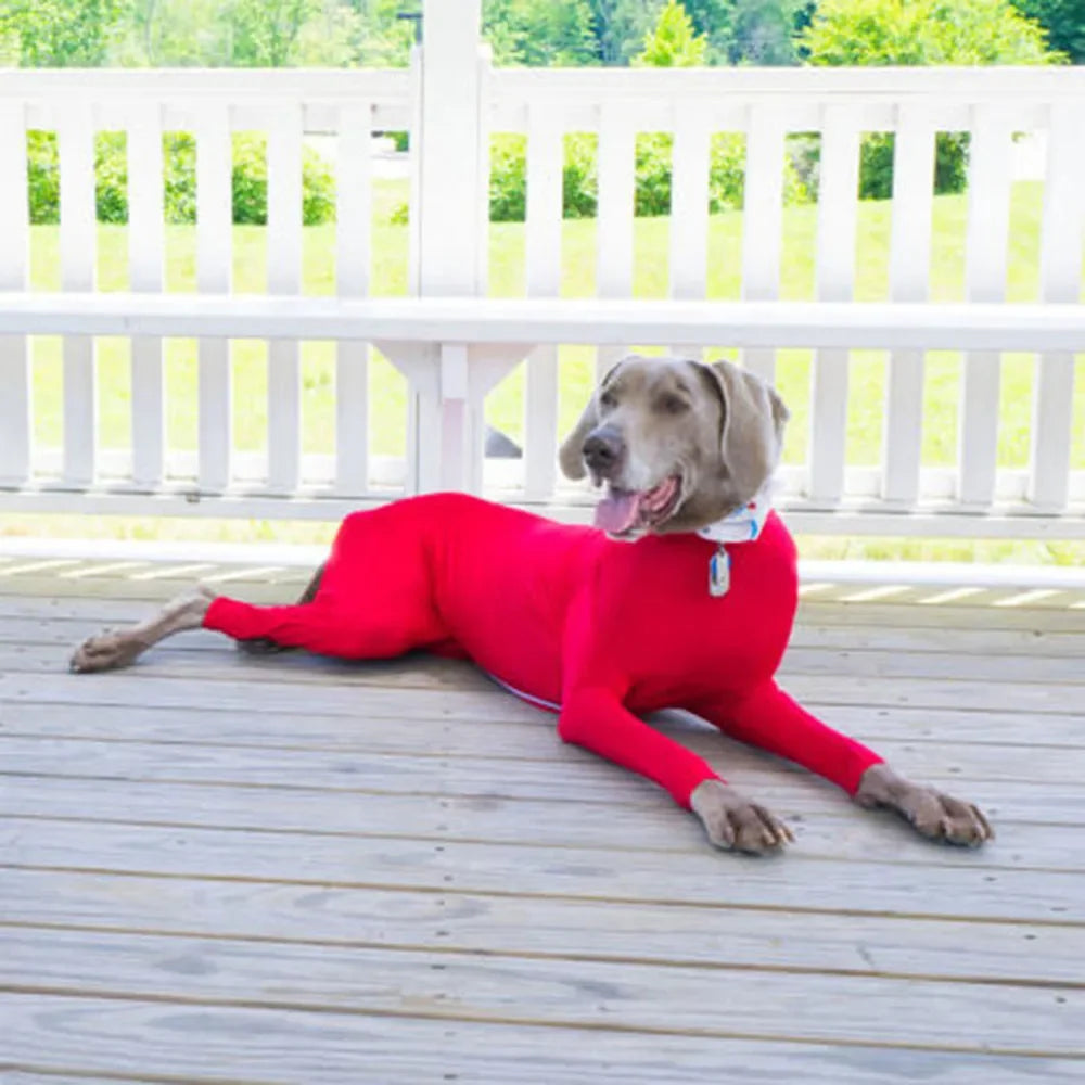 Operatie Onesie Voor Honden