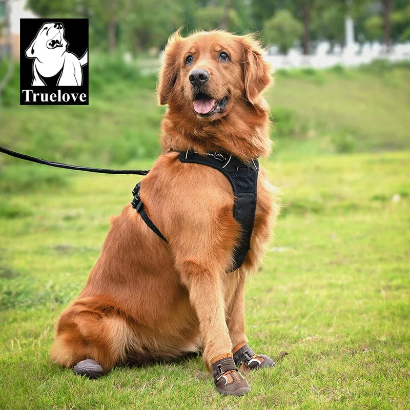 Truelove Honden Schoenen