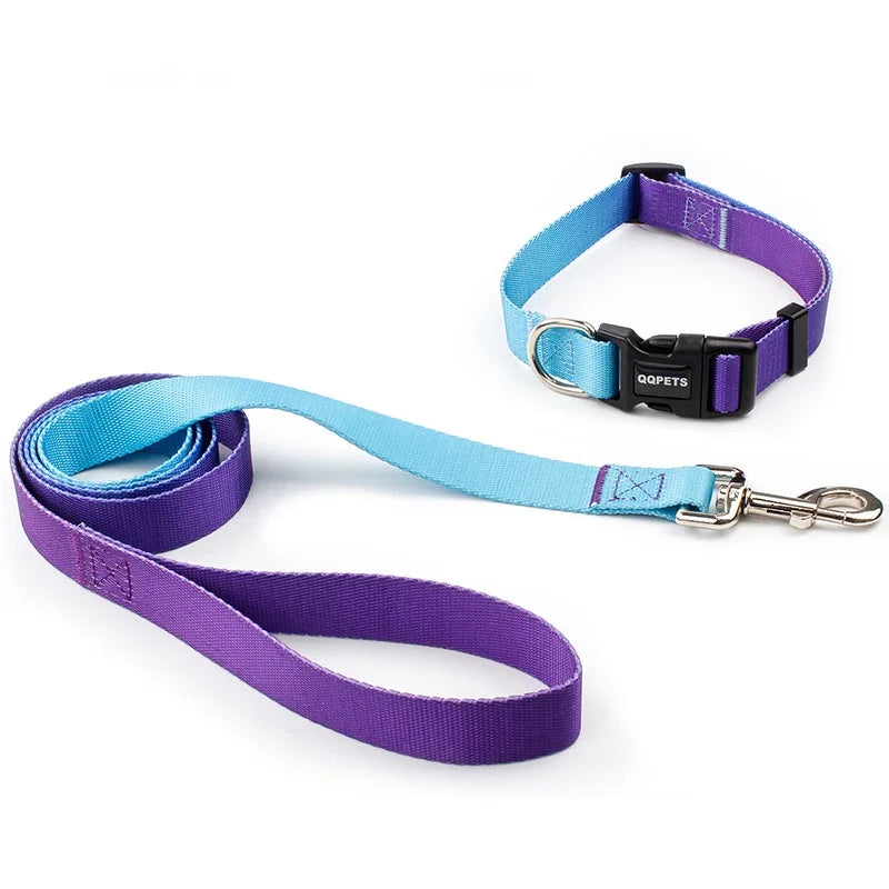 Halsband & Riem Set