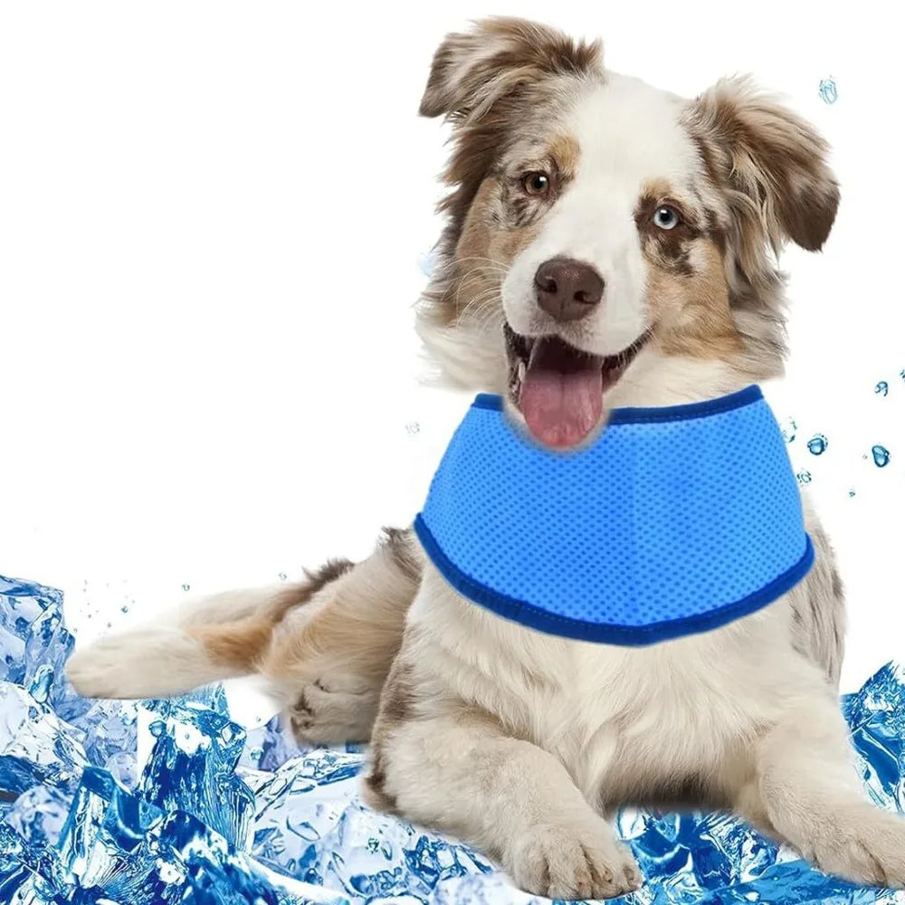 Koel Bandana Sjaal