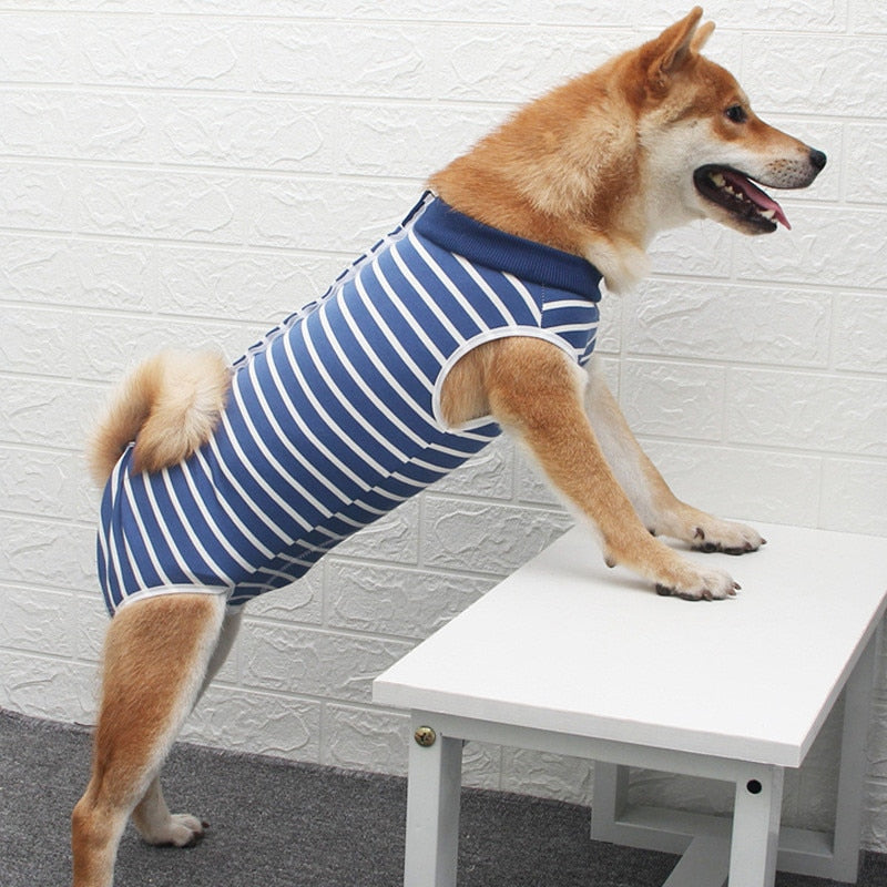 Sterilisatie Romper Voor Honden