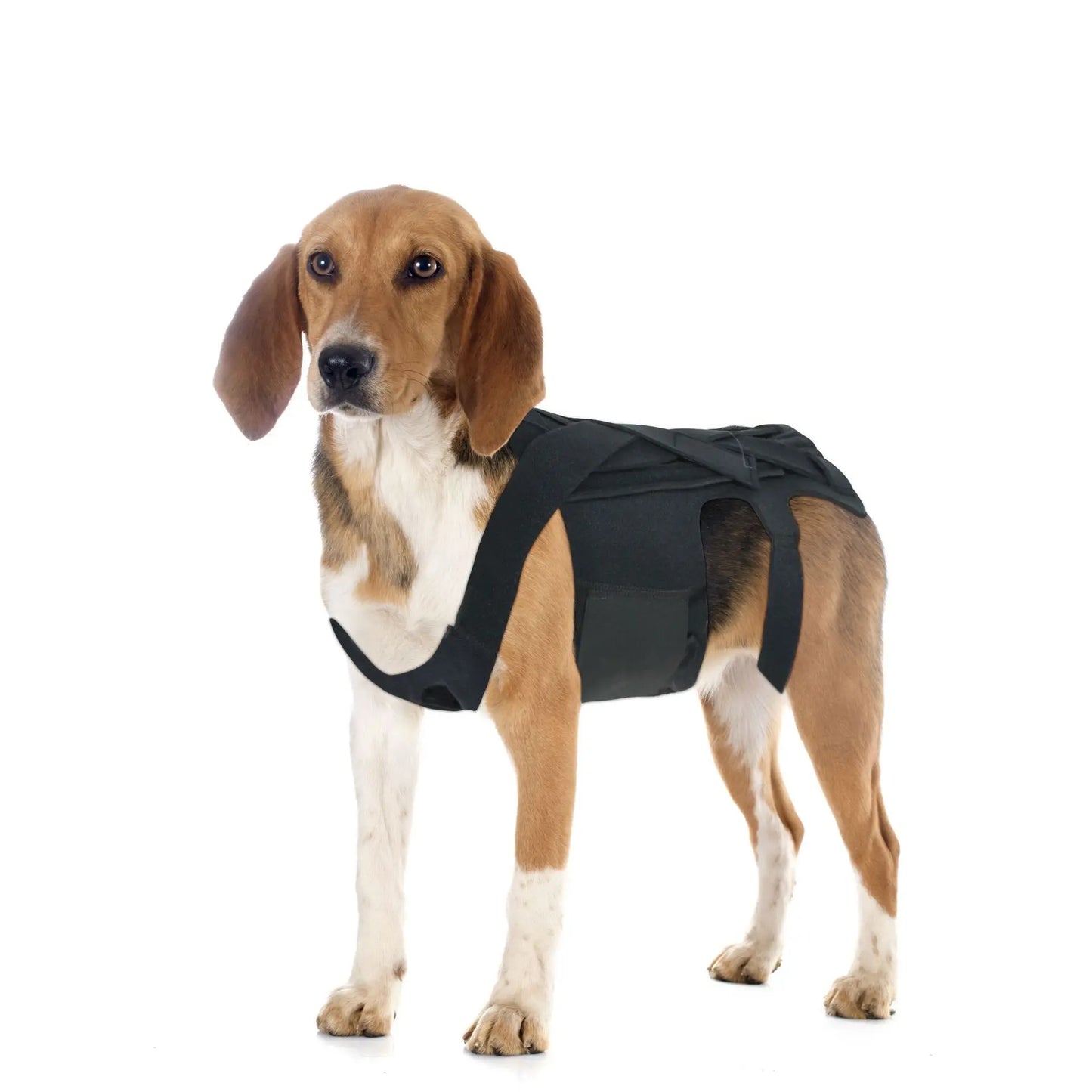 IVDD Hernia Ondersteuningsbrace