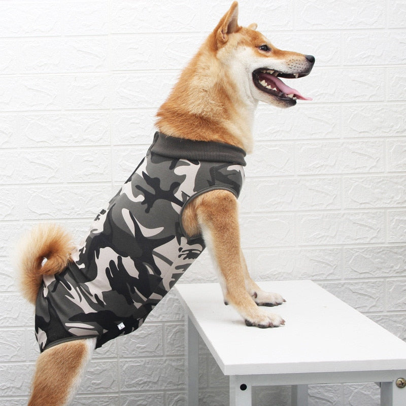 Sterilisatie Romper Voor Honden