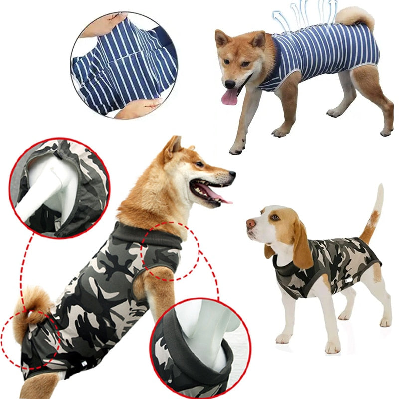 Sterilisatie Romper Voor Honden
