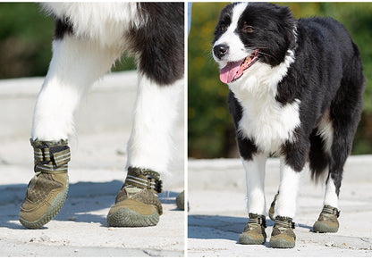 Truelove Honden Schoenen Army