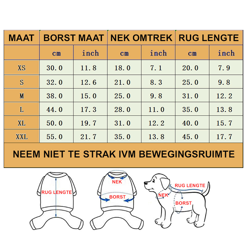 Feestdagen Pakje