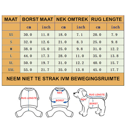 Feestdagen Pakje