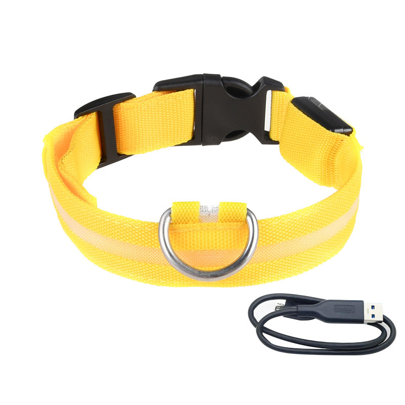 Halsband met LED-Verlichting