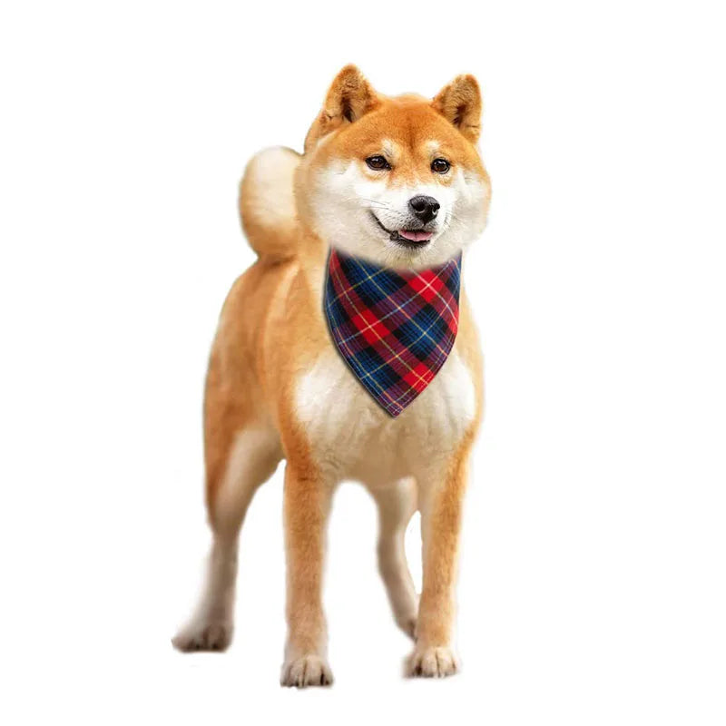 Bandana