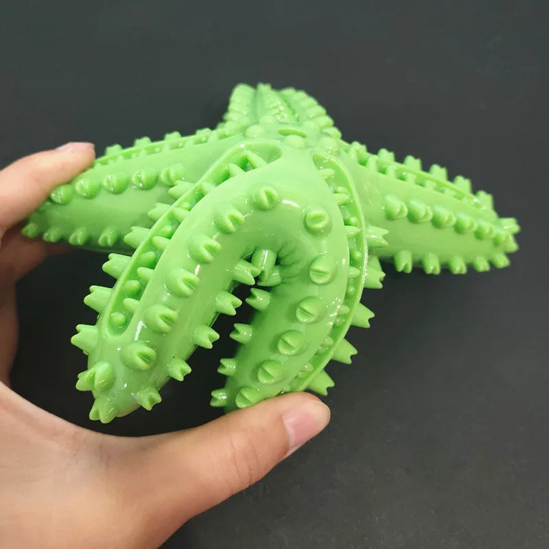 Gebitsverzorgend Speeltje voor Honden - Zeester