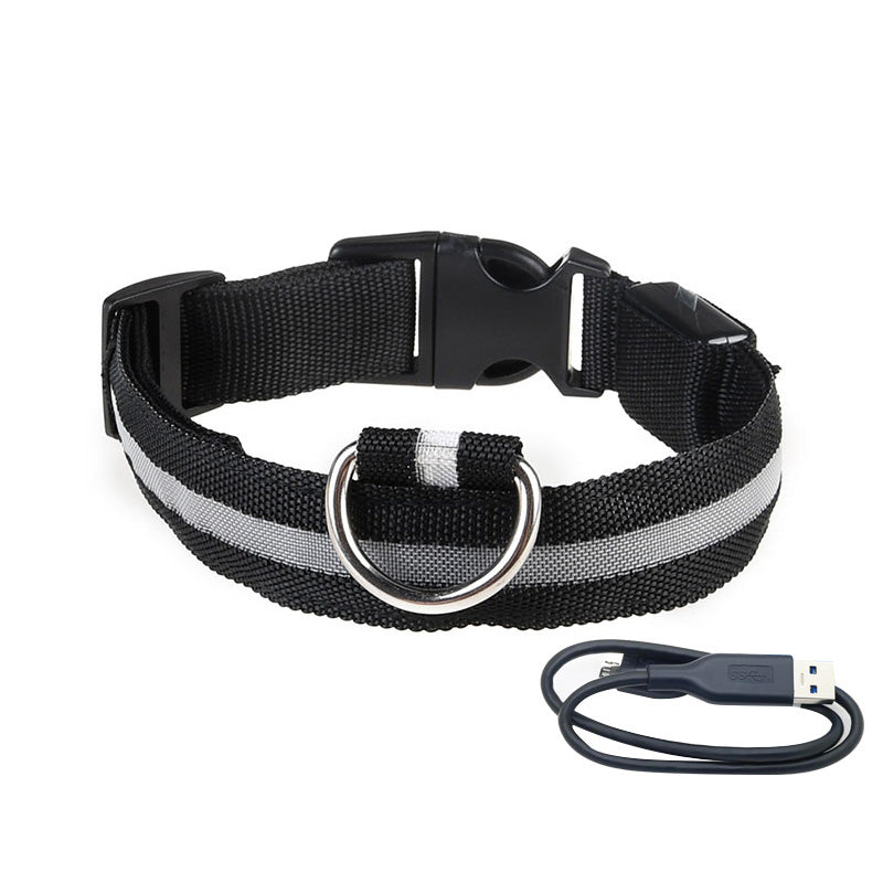 Halsband met LED-Verlichting