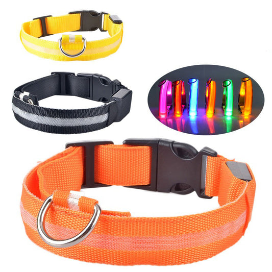 Halsband met LED-Verlichting