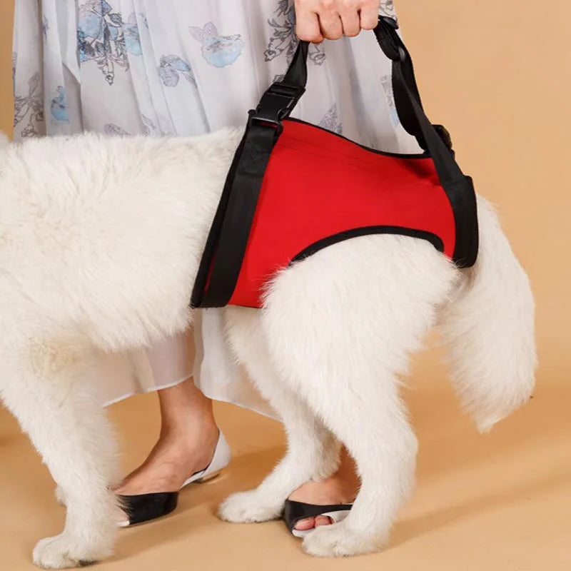 Ondersteunend Harnas Set voor Invalide en Hulpbehoevende Honden