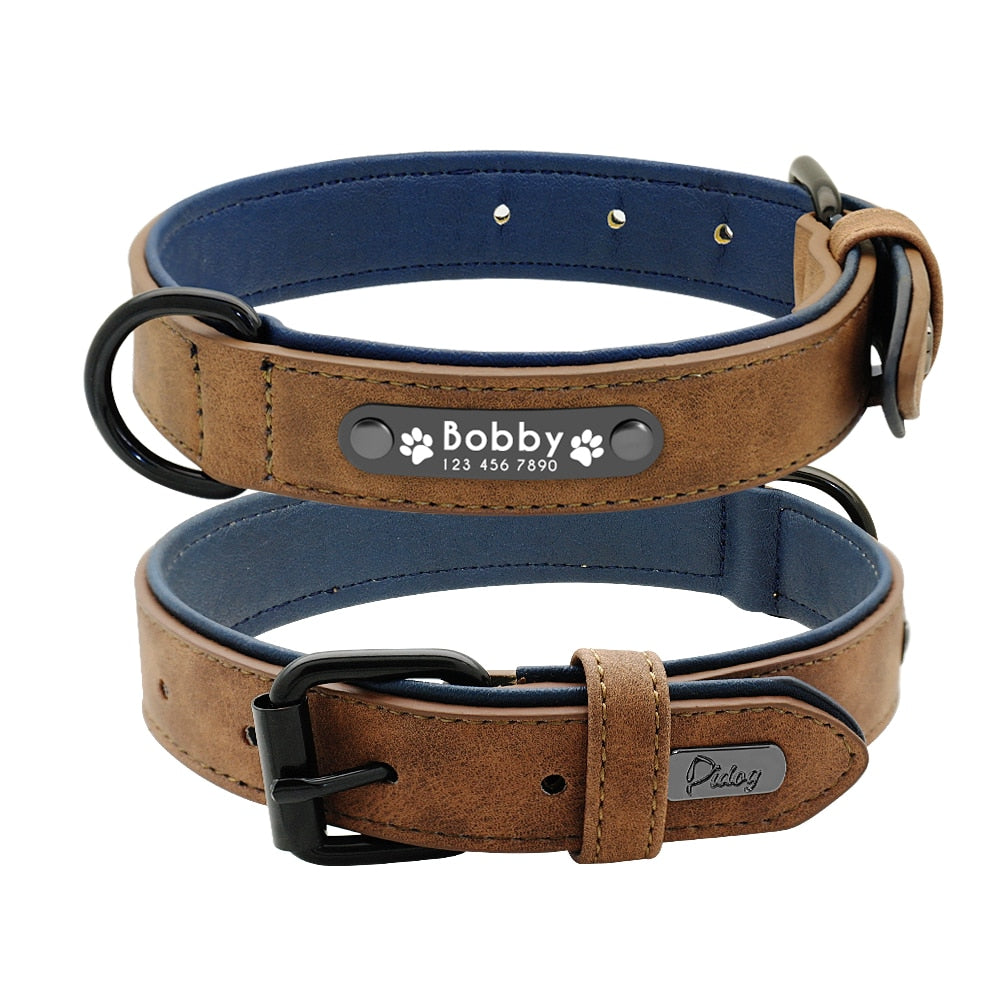 Freudentier® Hondenhalsband riem (2 m) in een set - Inclusief Cadeaubox - Elegant design en verstelbaar (30-42 cm Freudentier® Hondenhalsband riem (2 m) in een set - Inclusief Cadeaubox - Elegant design en verstelbaar (30-42 cm