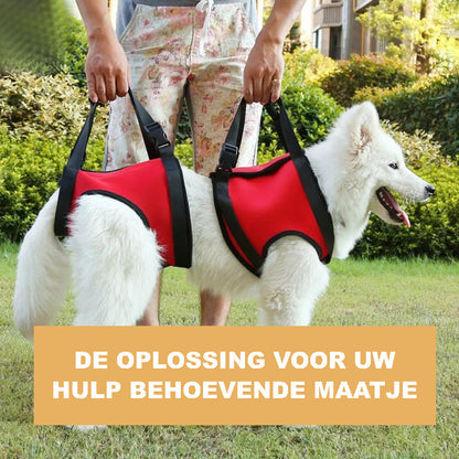 Ondersteunend Harnas Set voor Invalide en Hulpbehoevende Honden