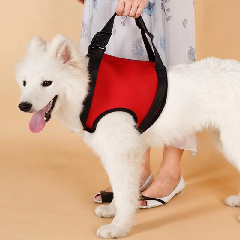 Ondersteunend Harnas Set voor Invalide en Hulpbehoevende Honden