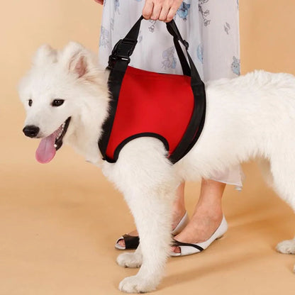 Ondersteunend Harnas Set voor Invalide en Hulpbehoevende Honden