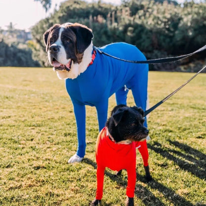 Operatie Onesie Voor Honden