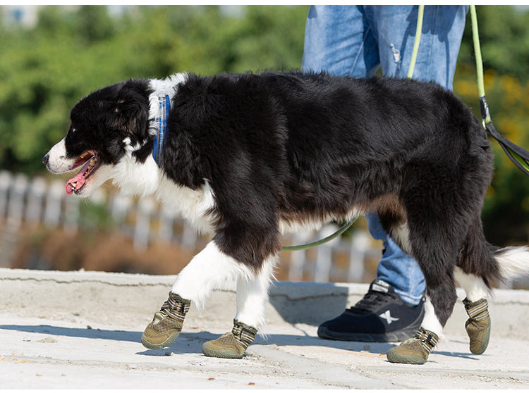 Truelove Honden Schoenen Army