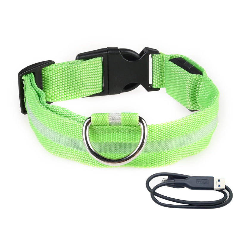 Halsband met LED-Verlichting