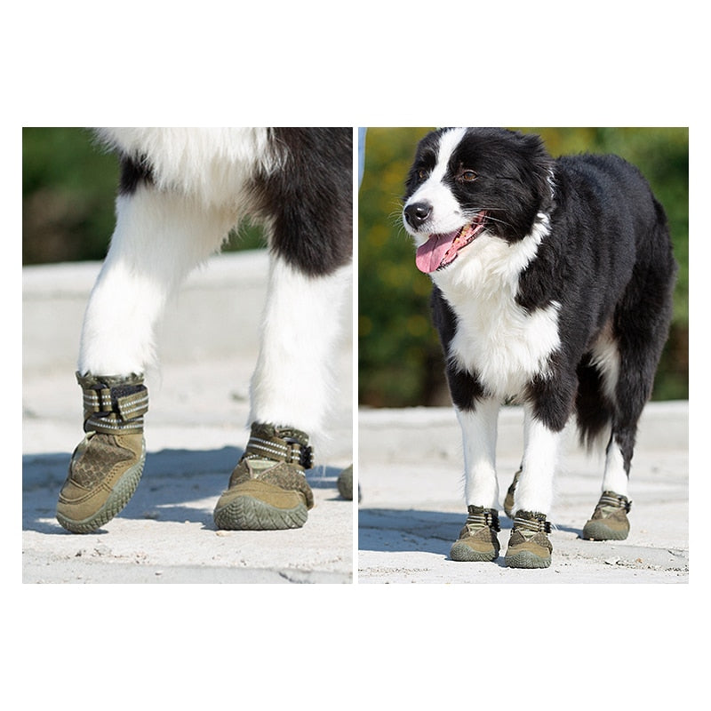 Truelove Honden Schoenen Army