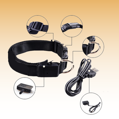 Halsband met LED-Verlichting