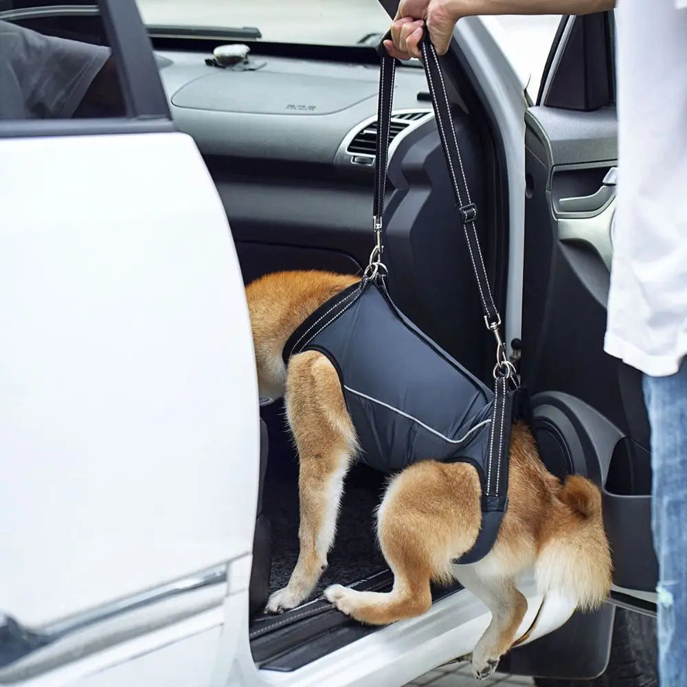 Ondersteunend Harnas voor Invalide en Hulpbehoevende Honden