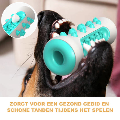 Gebitsverzorgend Speeltje voor Honden - Cilinder