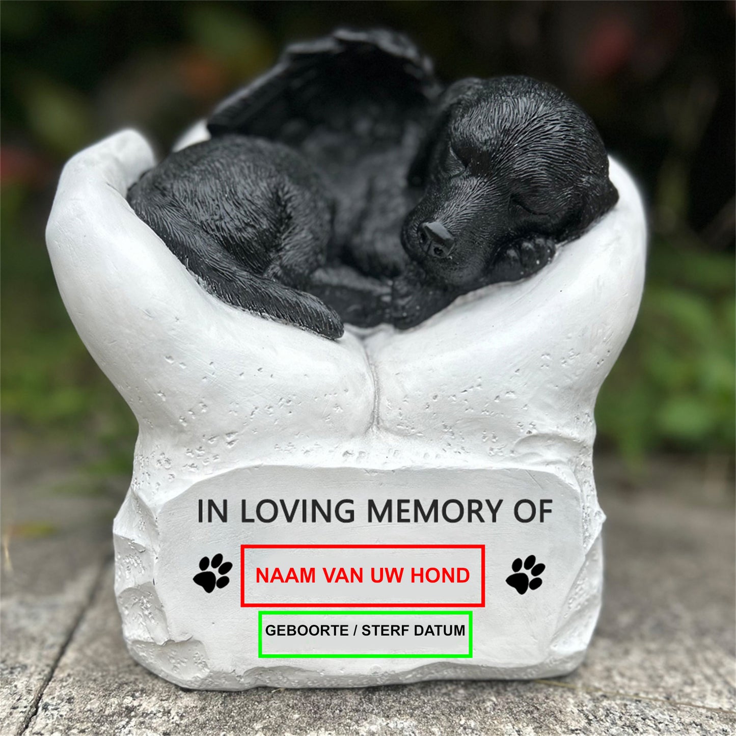 Honden Urn Hond op Handen