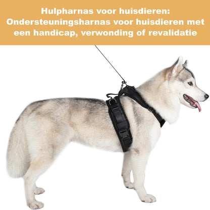 Ondersteunend Harnas voor Invalide en Hulpbehoevende Honden