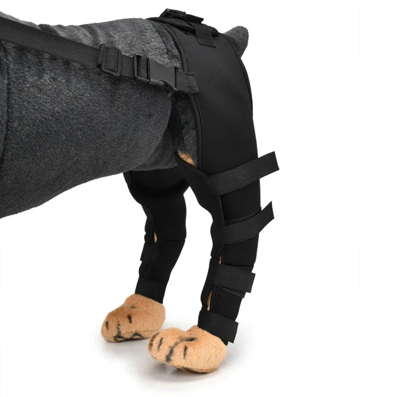 Herstelmouw Pootbrace Voor Achterpoten & Voorpoten