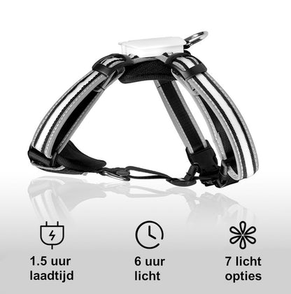 LED Honden Harnas 6 Kleuren