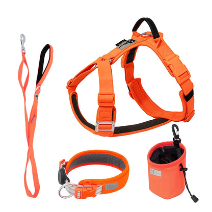 Luxe Honden Wandel Set