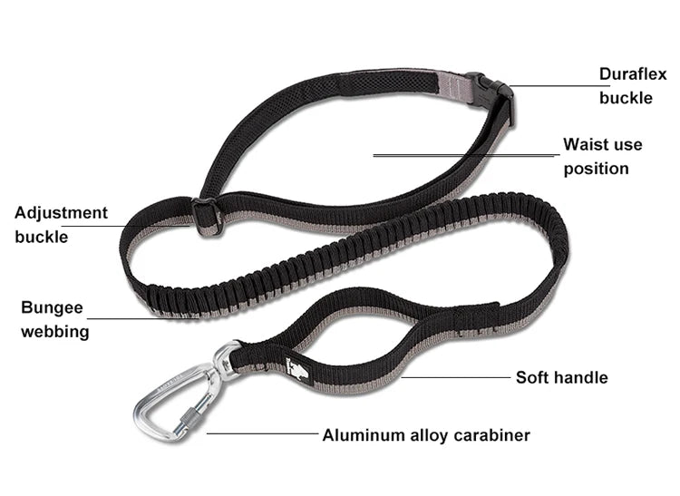 Truelove Canicross Bungee Riem