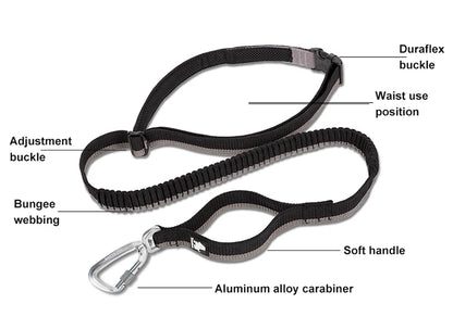 Truelove Canicross Bungee Riem