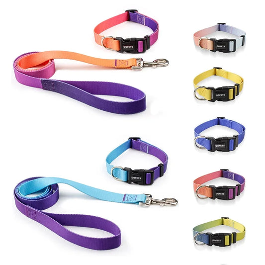 Halsband & Riem Set