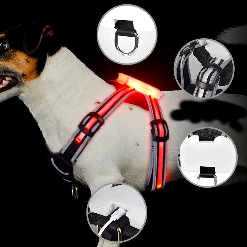 LED Honden Harnas 6 Kleuren