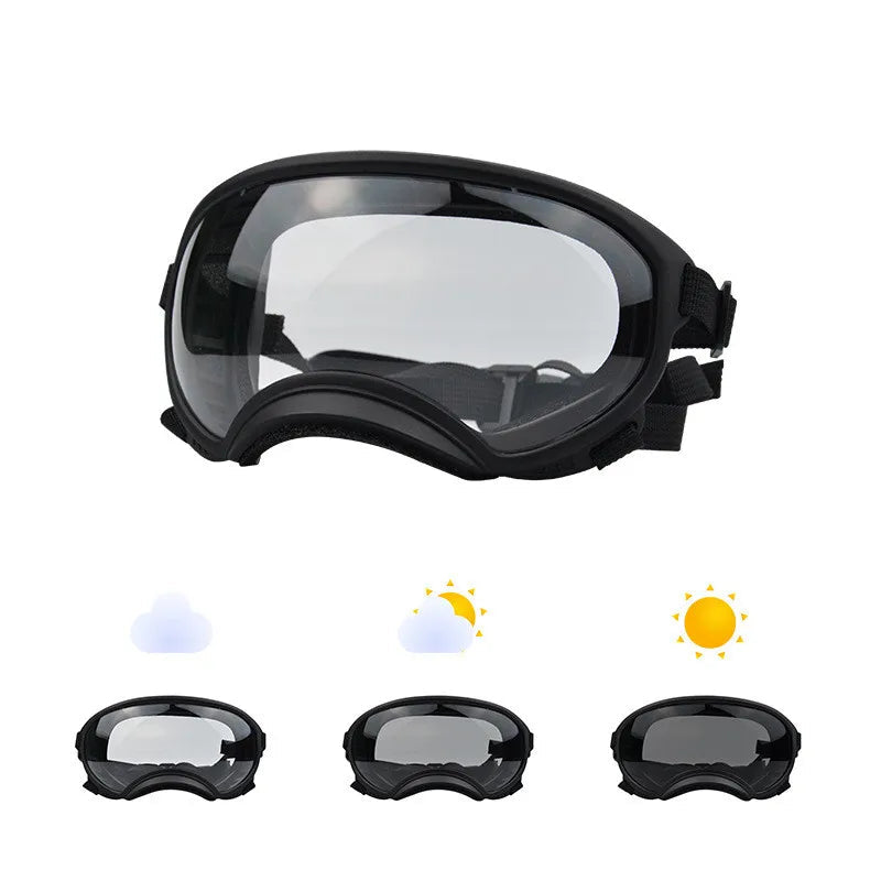 Hondenbril Pro - Motorritten & Buitenactiviteiten