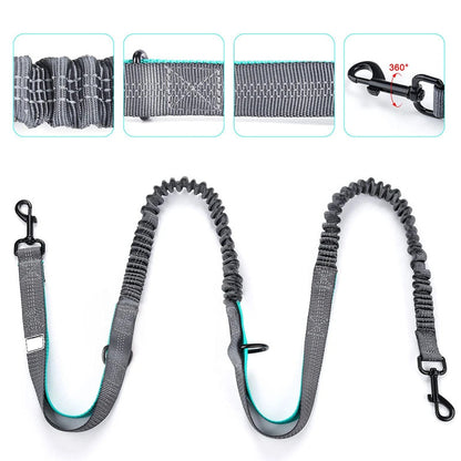 Canicross Bungee Riem (1 of 2 Honden)