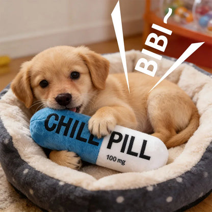 Hondenspeeltje - Chill pill