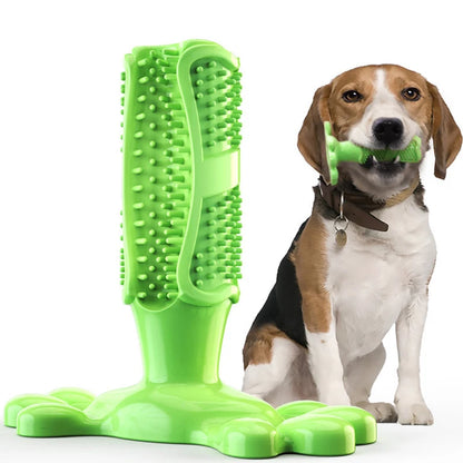 Gebitsverzorgend Speeltje voor Honden