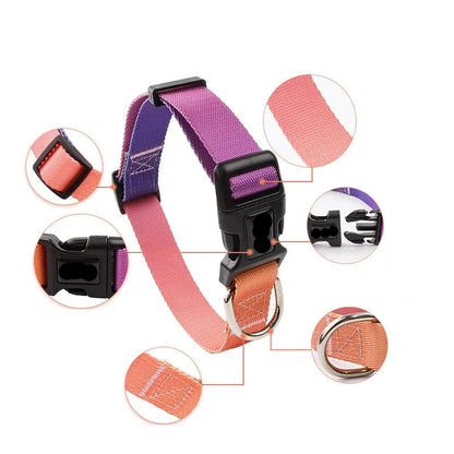 Halsband & Riem Set