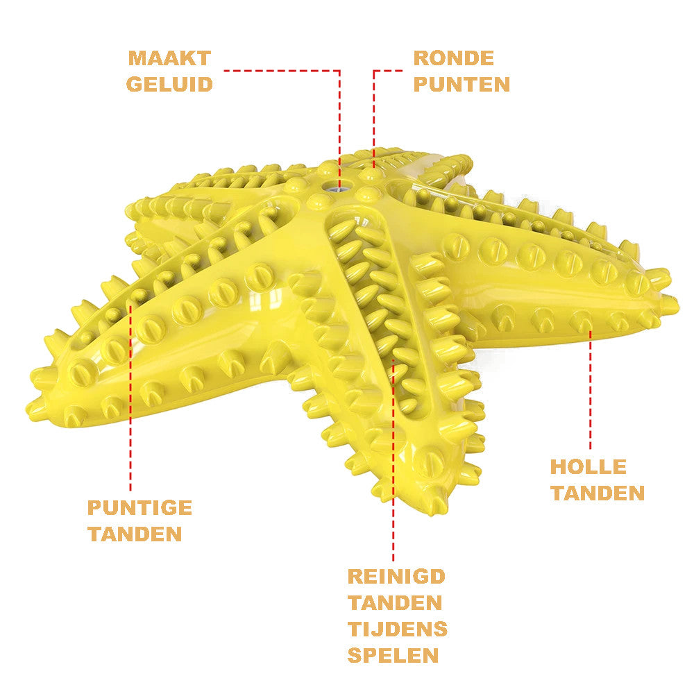 Gebitsverzorgend Speeltje voor Honden - Zeester